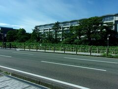 道路の反対側は、千秋公園。