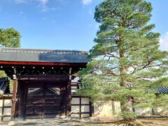 天龍寺(てんりゅうじ)

天龍寺は、京都の禅寺を代表する格式高い寺院「京都五山」のひとつで、その中でも"第一位"に数えられたお寺です。

天龍寺の庭園に入ってすぐの大方丈前のお庭は立派な松の木が何本もあります。全体を撮りたかったけど、人だらけで無理でした。この松の木は人気なくて、これだけ撮れました。

