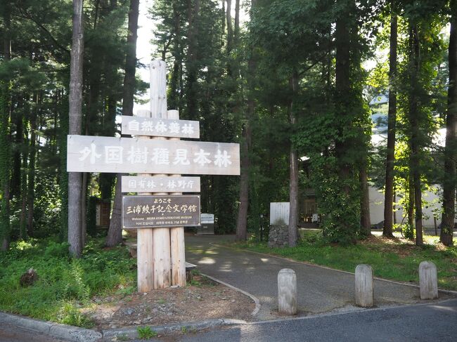 外国樹種見本林、ではなく一番下にある三浦綾子記念文学館へ。