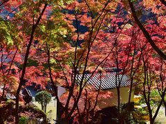 香嵐渓へは、紅葉の時期は大混雑、渋滞覚悟で、
毎年、裏道を時間をかけて休日に行きますが、
今年は休日に行けず、
平日に高速から有料で国道153号へ
正に今ピークよう、
国道153号に別れを告げ、
国道420号へと足助町に向かい、
鳳来寺道を行くと左に曲がって、
凄いラッシュ別れを告げ一の谷へ
その広場の一番奥へ駐車して、
全国的に呼び声高い、
美しい自然の中に魅力なる紅葉...香嵐渓。