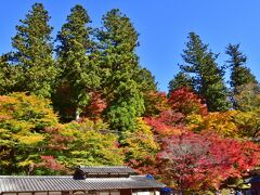 三州足助屋敷の手前に広がる香嵐渓広場。
まつり期間中は、和太鼓やお茶会、猿回し、
陶器展などのイベントを開催。
さまざまな屋台もならび、多くの人でにぎわいます。
