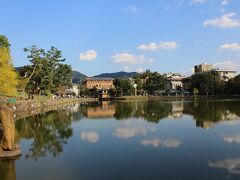 (JR奈良駅付近から)ゆっくりと歩いて、猿沢池に着き・・
・・この旅行記の表紙も、この辺りで撮りました(^_-)-☆