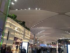イスタンブール(トルコ)に到着しました。
イスタンブール発は翌日の午前2時です。大きく綺麗なイスタンブールハブ空港で少し休憩です。