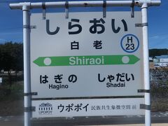 特急北斗5号　　白老へ　　　55/　　　47

白老駅