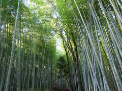 天龍寺の裏手の竹林を歩きます。
結構な上り坂だったりする箇所もあります。