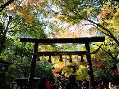 野宮神社 黒木鳥居