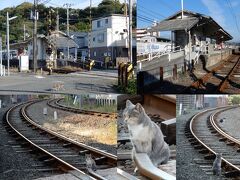 　港山駅
　ネコちゃんが駅を巡視してました。
　よく見ると、ネコちゃんは2匹いますね。（右下の写真）