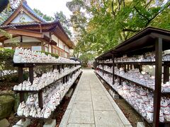 【宮の坂駅／豪徳寺】

『招き猫』の発祥の地だと言われている。