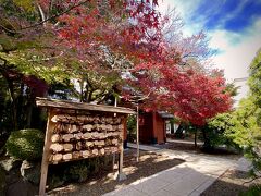 【彦根藩主・井伊家の菩提寺：豪徳寺】

ここまで出て来たのですが....