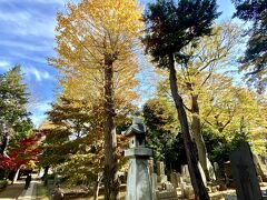 【彦根藩主・井伊家の菩提寺：豪徳寺】

意外に奥が深い（敷地も／歴史的な意味でも）曹洞宗のお寺なのですが...