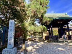 【彦根藩主・井伊家の菩提寺：豪徳寺】

前からの続き...