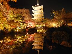 ［東寺］
瓢箪池の水辺が絶好の撮影スポットのようです。
常に数人が撮影の順番待ちをしていました。