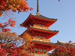 ［清水寺］
三重塔の朱色ともみじの赤色が青空に映えます。
ではまた午後に戻ってくることにして、清水寺を後にしました。
