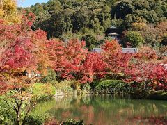 ［永観堂］
山の少し高い位置に見えるのが先ほど行った多宝塔。
池の周りの紅葉もすっかり見頃を迎えているようです。