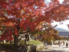 金戒光明寺(黒谷さん)