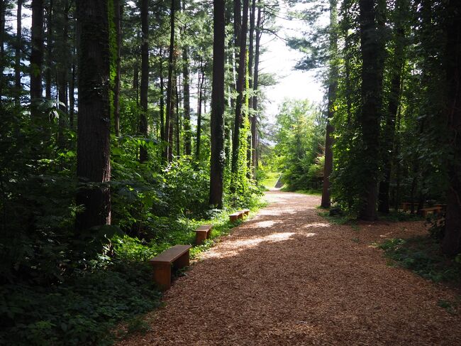 調教の為、走ろうかと思いましたが、このまま先に進んだら泥沼になりそうな感じなので、ここはサクッと散策を諦め撤収します。