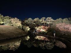 京都駅の近くの梅小路公園に来ました。徒歩でも15分との事ですが、せっかくなのでバスで。
「紅葉まつり」開催中。11/11～11/27　400円
ライトアップされた紅葉が水面に映り、園内は空いていてシーンとしているので、本当に幻想的です。