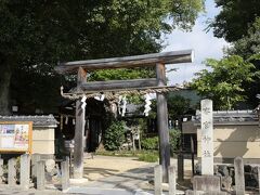 その踏切から南へ行くと、斎宮神社。小学生時代、この近所に友達がいてここでよく遊んでいたものでした。