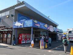 金谷港にあるザ・フィッシュに立ち寄りました。ここはお土産屋や、地場産品、飲食店があるマーケットプレイスです。