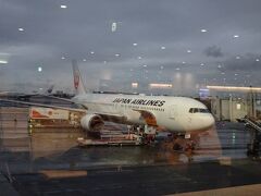 羽田空港は雨
