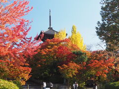 【真如堂】
　2014年真如堂はモミジが赤くて、人混みもそれほどでないと勧められて行ってから　京都の紅葉の穴場として気に入っている所です。