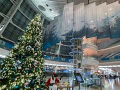 始発のリムジンバスは満席でしたが無事羽田到着。
早朝の羽田空港は早くもクリスマスモードでした。