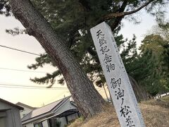 御油の松並木です。御油宿の西側にあります。ここのクロマツは天然記念物です。