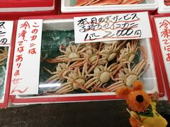 マスコミで紹介されているヤマニ水産
35万円の松葉ガニも売られていました！