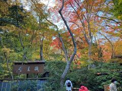 祇王寺
私が来たときは人も少なくて静かに見てまわれました。
