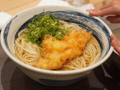 エキマルシェ大阪で鶏天うどん