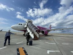 ピーチは徒歩です。