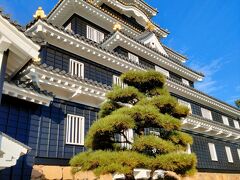岡山城は令和の大改修を終えて、11月3日にリニューアルオープンしたばかりでした。（岡山後楽園と岡山城天守閣の共通入場券640円）
日本100名城のひとつで、漆黒の天守閣から「烏城（うじょう）」と呼ばれているそうです。