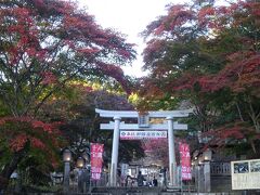 紅葉の時期は、参道を約２００本の竹灯籠で照らす「南湖神社竹灯籠ライトアップ」が行われていたようですよ。