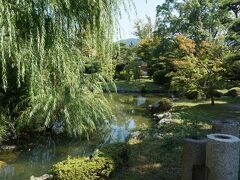 今回、時間の関係で行けなかった七代目小川治兵衛の庭園として、写真の京セラ美術館日本庭園がある。京都市美術館は１９３３（昭和８）年にオープンした。２０２０（令和２）年に命名権を取得して京セラ美術館としてリニューアルオープンした。この時「ガラスの茶室」が造られたが、今はない。常時開放された庭園は１９０９（明治４２）年に作庭された。以下の写真は１０月に下見に行った時のもの。