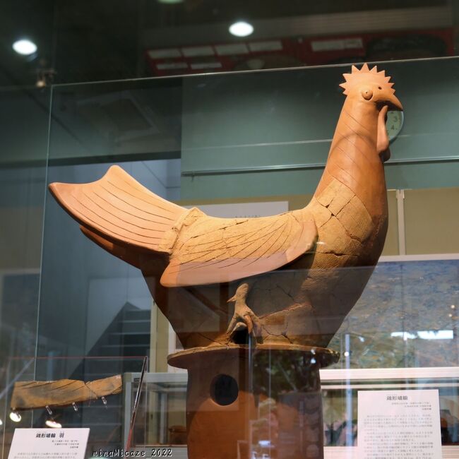 赤堀茶臼山古墳」から出土した「鶏形埴輪」を見に行きました（2022