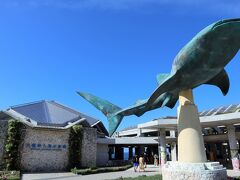 沖縄美ら海水族館