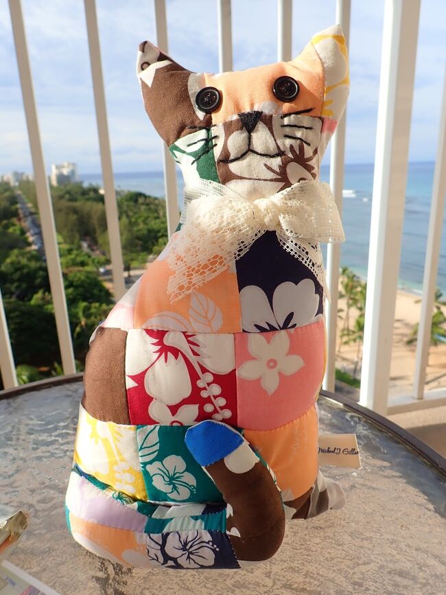 今回買った猫♪