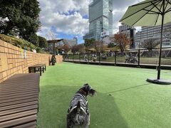 あべのハルカスビュー♪