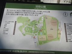 車で20分くらいで、沼田公園に着きました。
「沼田城跡」とカーナビに入れると沼田公園への道案内が出ます。城はなく、公園になっていました。大きな城であったことが公園の地図からわかりました。