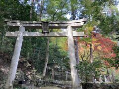 【護法堂】
　今回、これまで紅葉に行ったことがない場所に1日一回行くことにしています。この日は護法堂です。