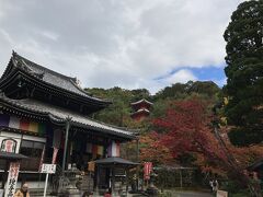 【今熊野観音寺】本堂と多宝塔
泉涌寺の御座所庭園の紅葉が厳かな雰囲気なのに対して　ここ今熊野観音寺の紅葉は華やかです。