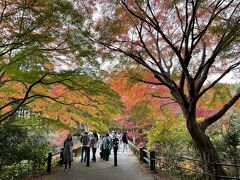 次は、紅葉見頃となっていたこちらへ。