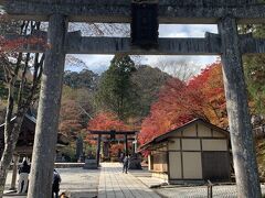 神社に到着。平日でもかなりの人出でした。鳥居をくぐると、すぐに紅葉が見えてきました。