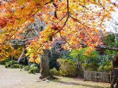 如意輪寺から来た道を、吉野山のメインストリート的な場所まで戻り、時間が中途半端だったので竹林院へ立ち寄り。