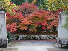 正面にはもう紅葉が待ち構えています。
（幡枝離宮跡 圓通寺）