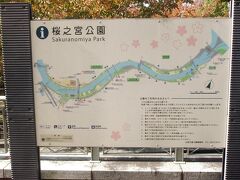 大川沿いに毛馬桜ノ宮公園が整備されています