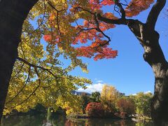 中島公園