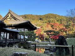 高台寺に到着。紅葉が綺麗です。
