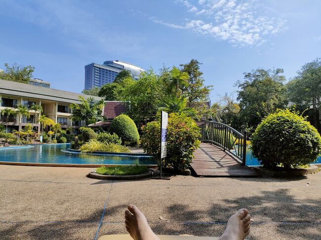 はい、帰ってきたよー！<br />これがしたかった。