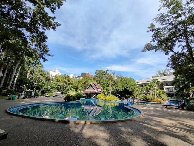 なので、2日連続でプールサイドステイです！<br />でもこれはこれで良い！